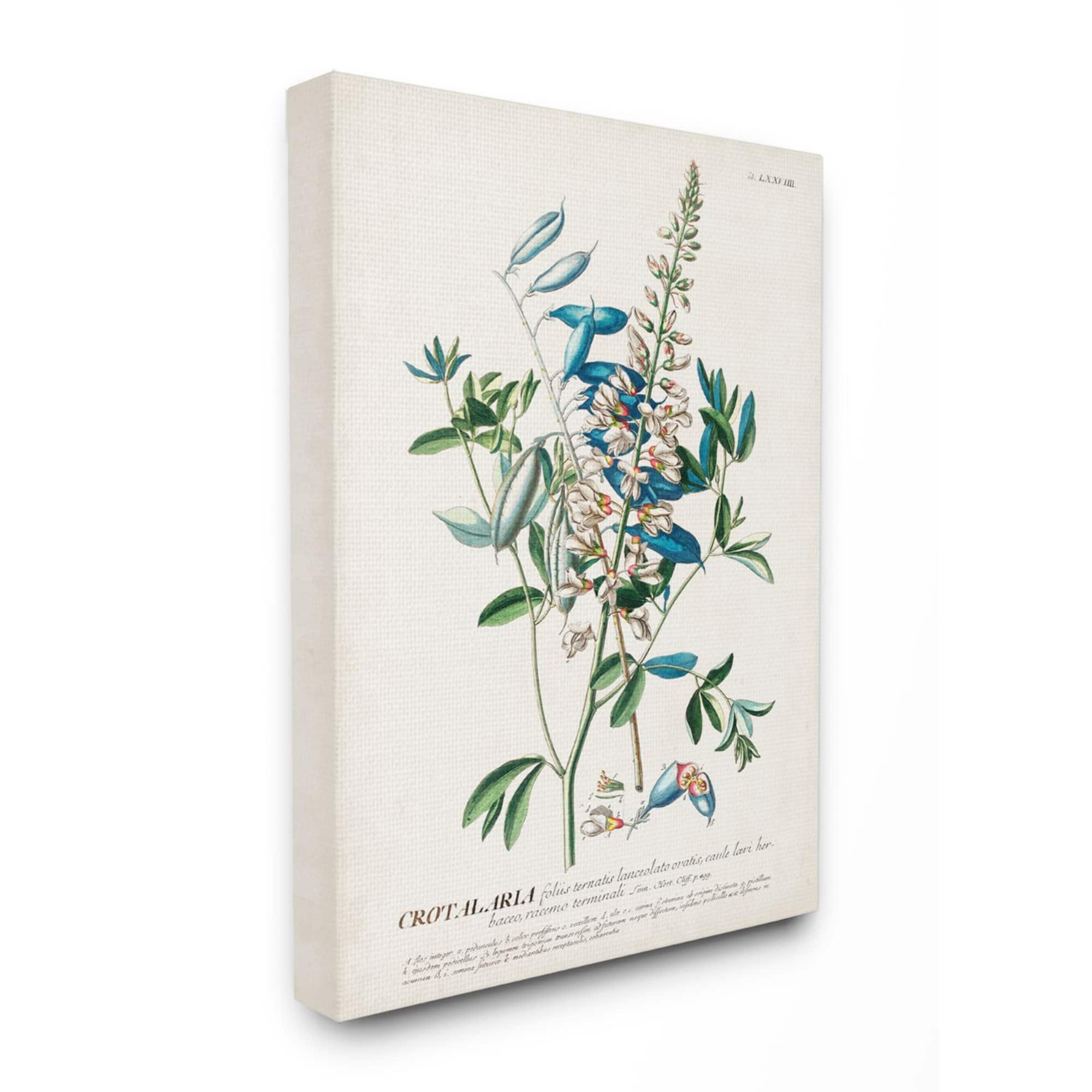 Stupell Industries Vintage Flowers & Leaves Canvas Wall Art